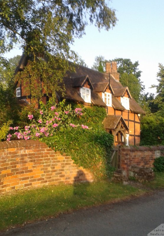 Фотография № 186349