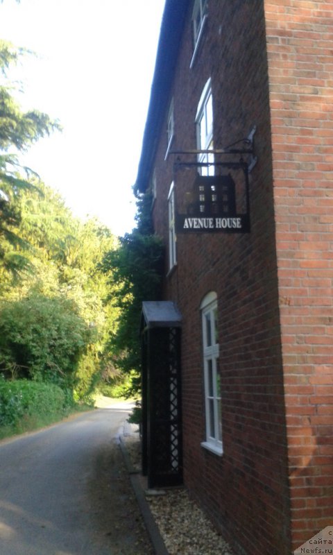 Фотография № 186351