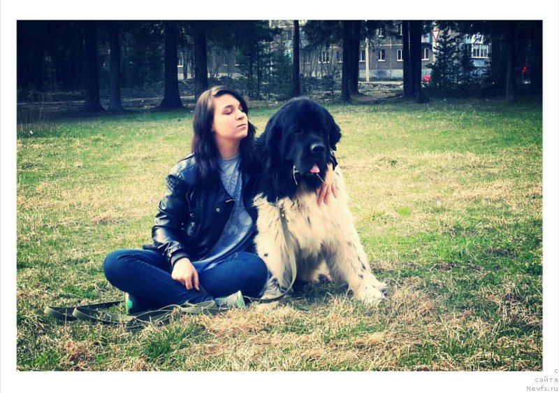 Фотография № 186367