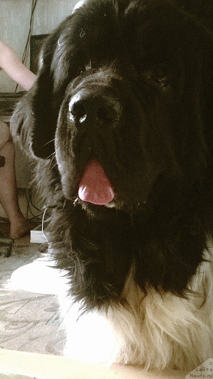 Фотография № 186368