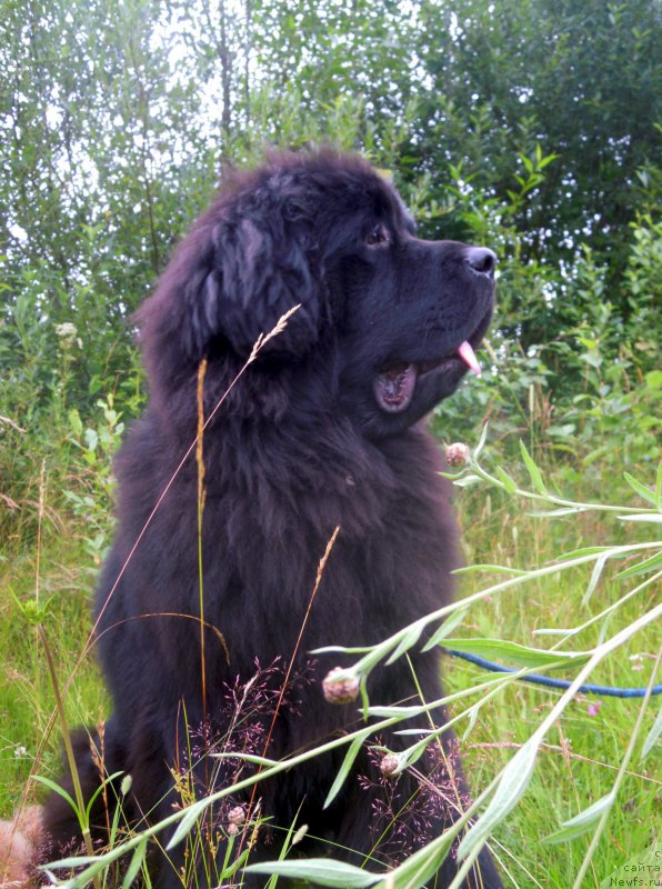 Фотография № 186384