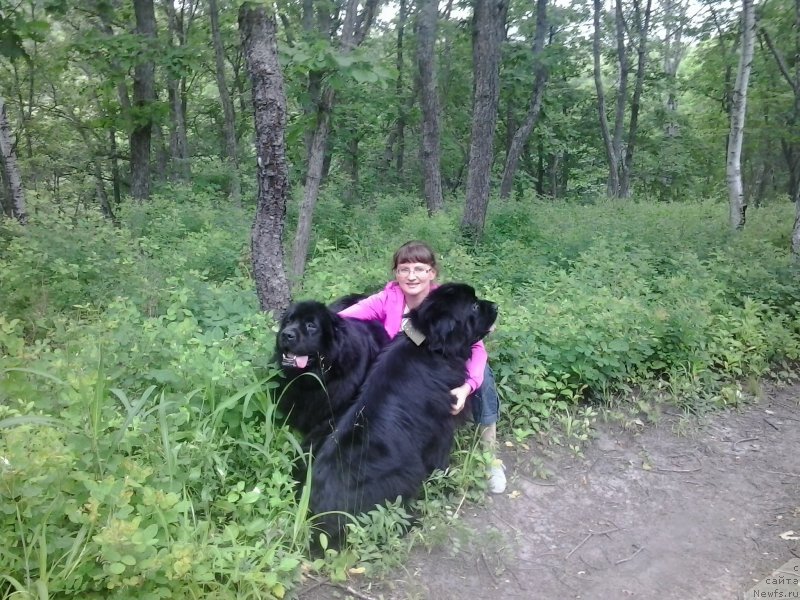 Фотография № 186411