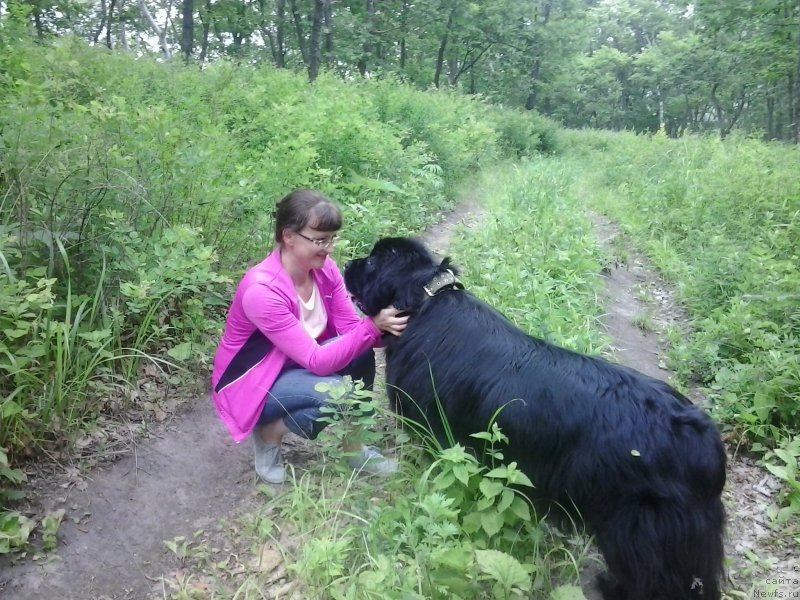 Фотография № 186412