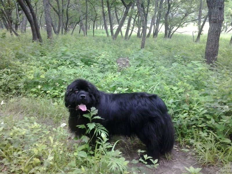 Фотография № 186414