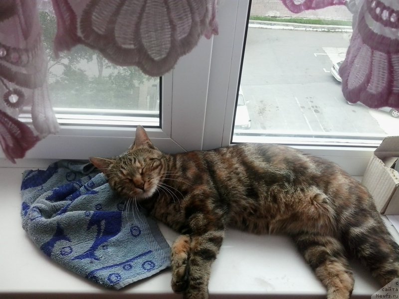 Фотография № 186416