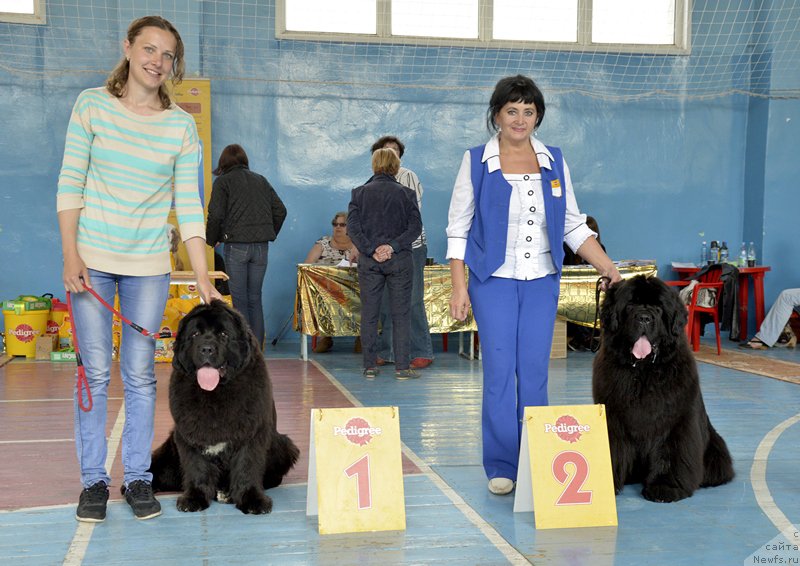 Фотография № 186420