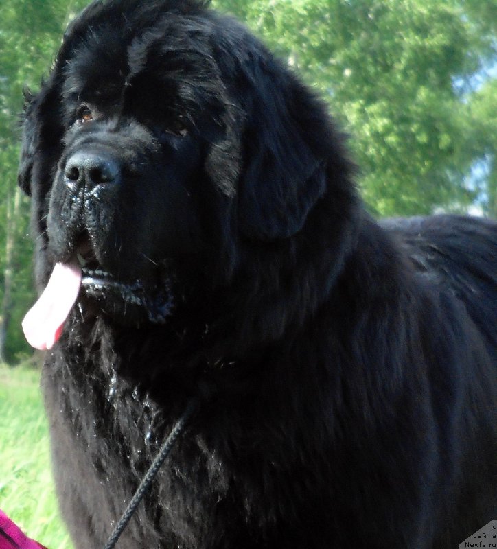 Фотография № 186421