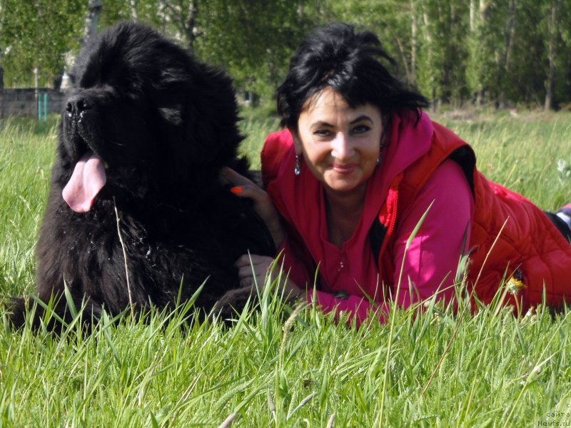 Фотография № 186422