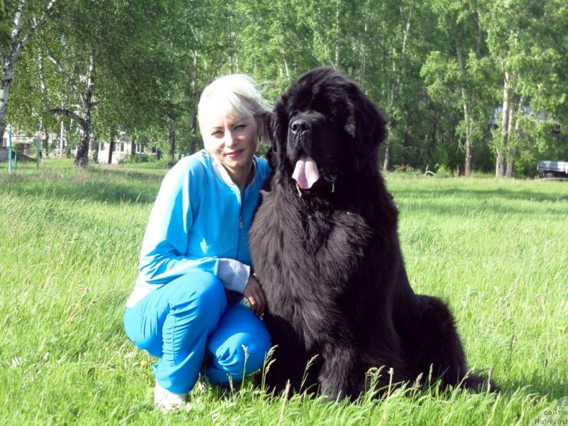 Фотография № 186423