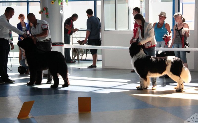 Фотография № 186426