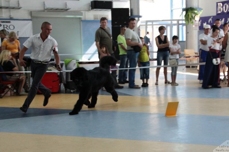 Фотография № 186427