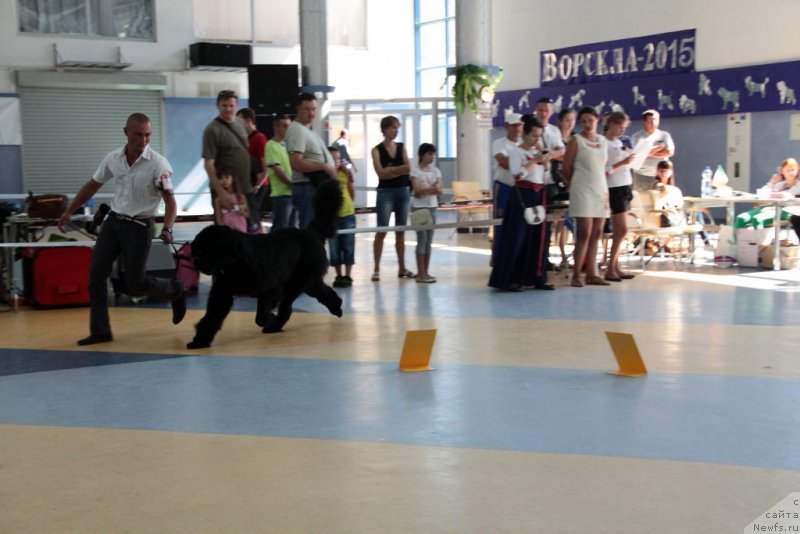 Фотография № 186428