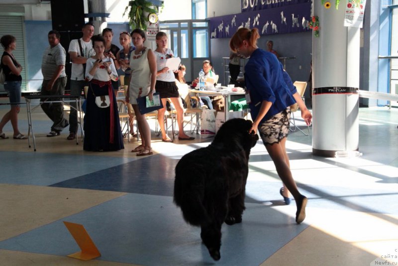 Фотография № 186429