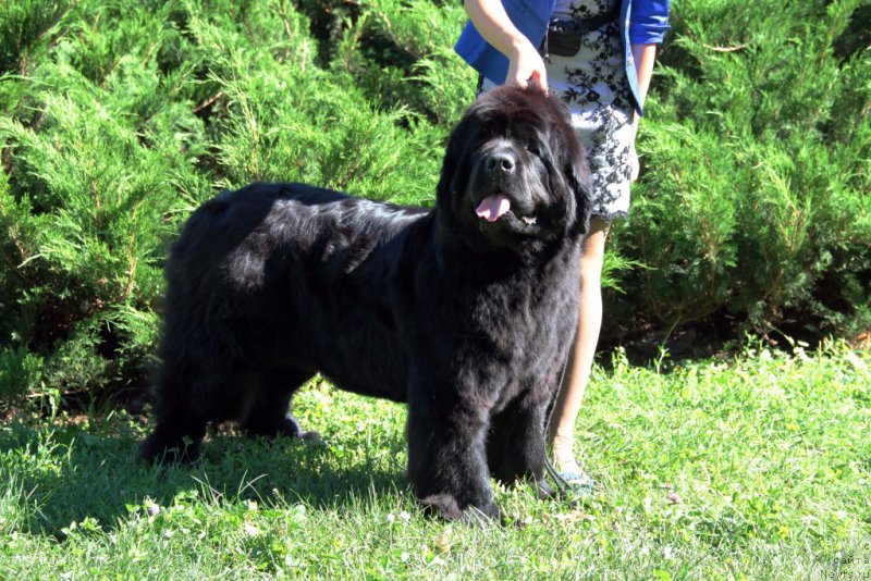 Фотография № 186433