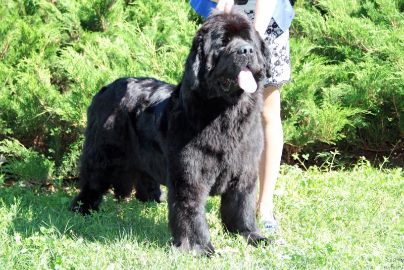 Фотография № 186436