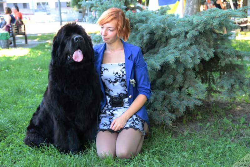 Фотография № 186438