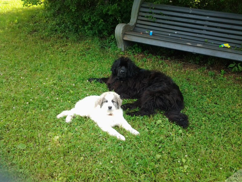 Фотография № 186518