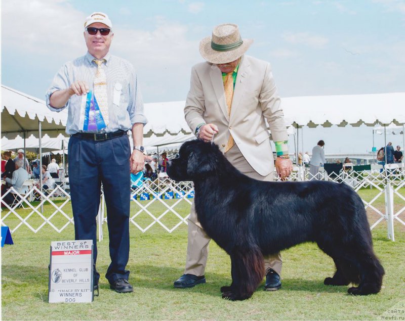 Фотография № 186524