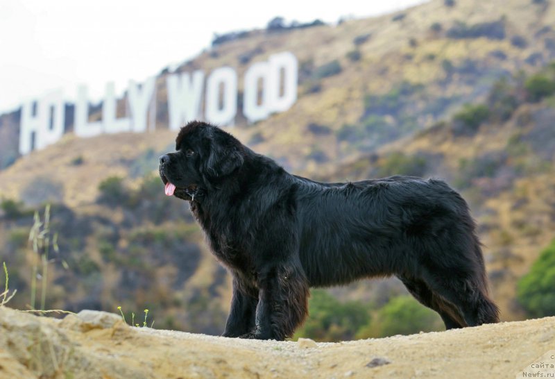 Фотография № 186525