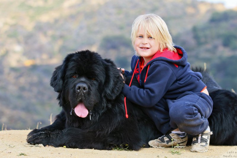 Фотография № 186528