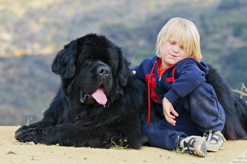 Фотография № 186529