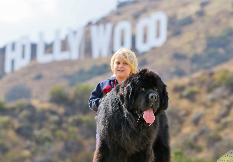 Фотография № 186531