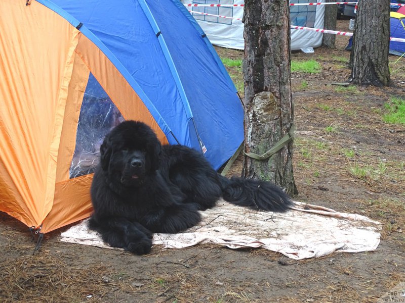 Фотография № 186541