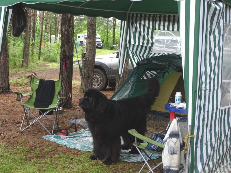 Фотография № 186543