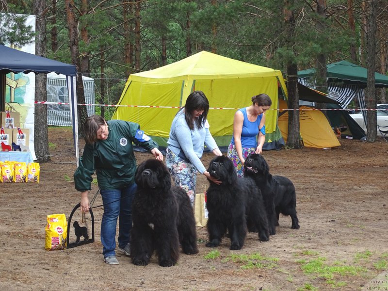 Фотография № 186545