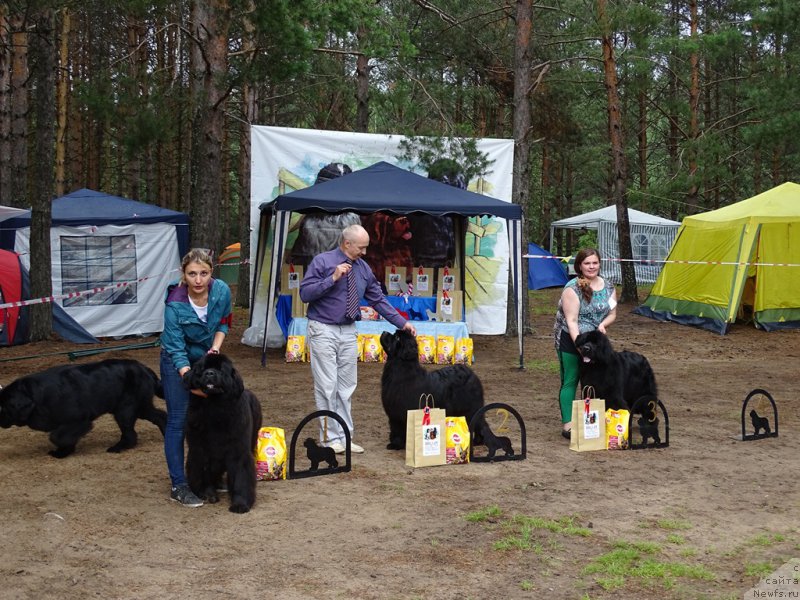 Фотография № 186546