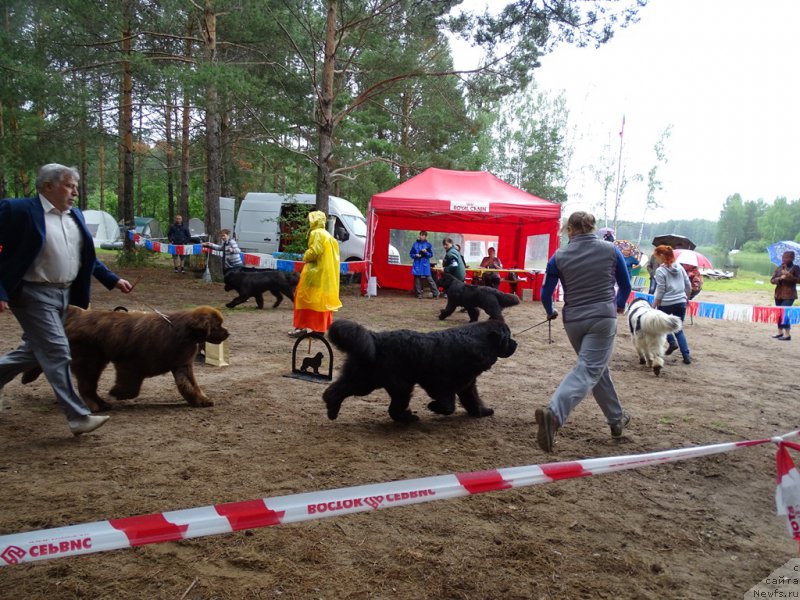 Фотография № 186547