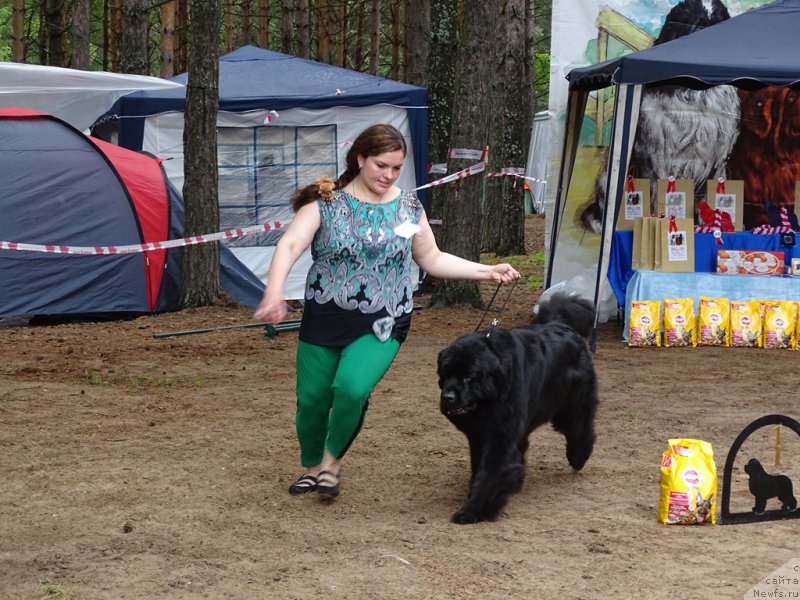 Фотография № 186549