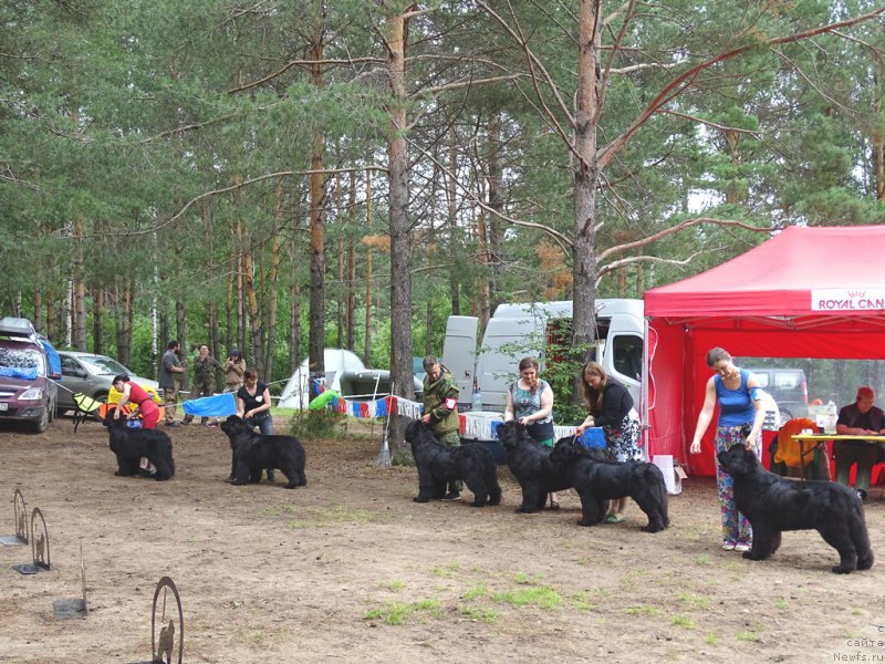 Фотография № 186552