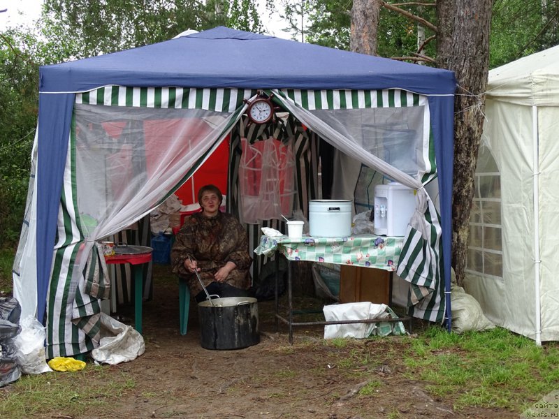 Фотография № 186553