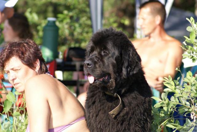 Фото: Елена Лапоницина