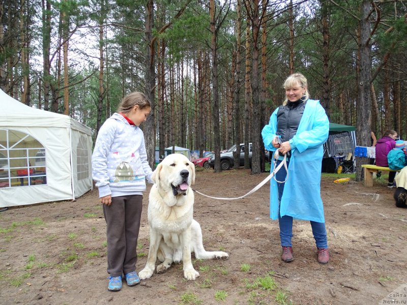 Фотография № 186564