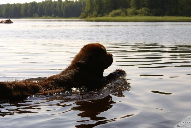 Фотография № 18657