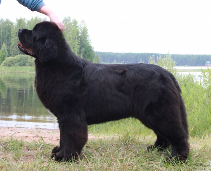 Фотография № 186571