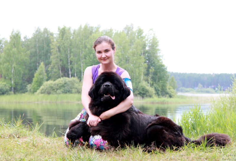 Фотография № 186576