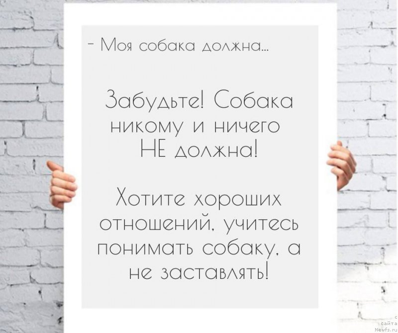 Фото: Игорь Гречишкин