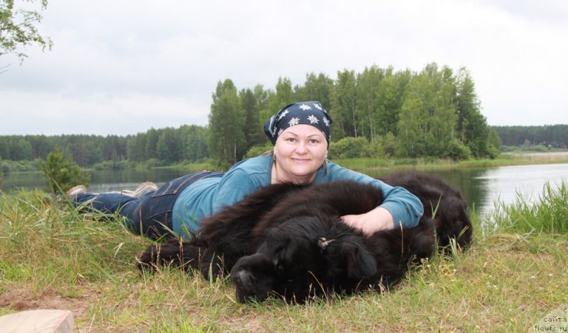 Фото: ньюфаундленд Акватория Келвин Фром Сибириа эт Каюга (Aquatoriya Kelvin From Siberia at Cayuga), Татьяна Абутова