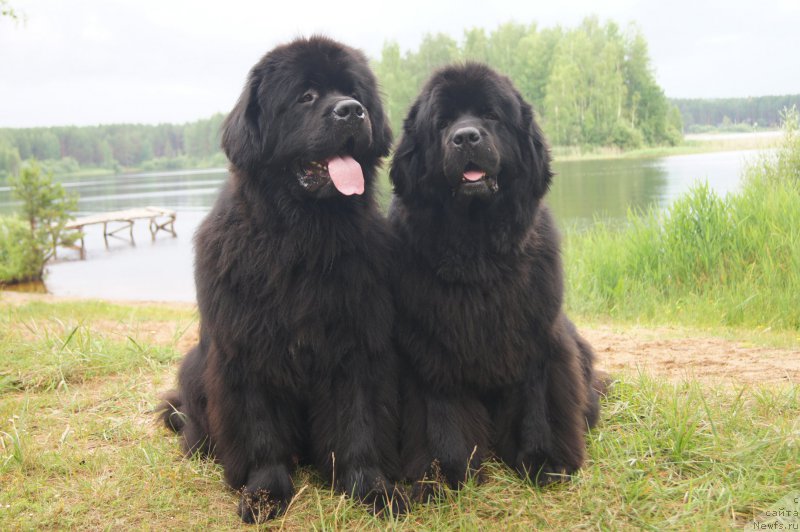 Фотография № 186600