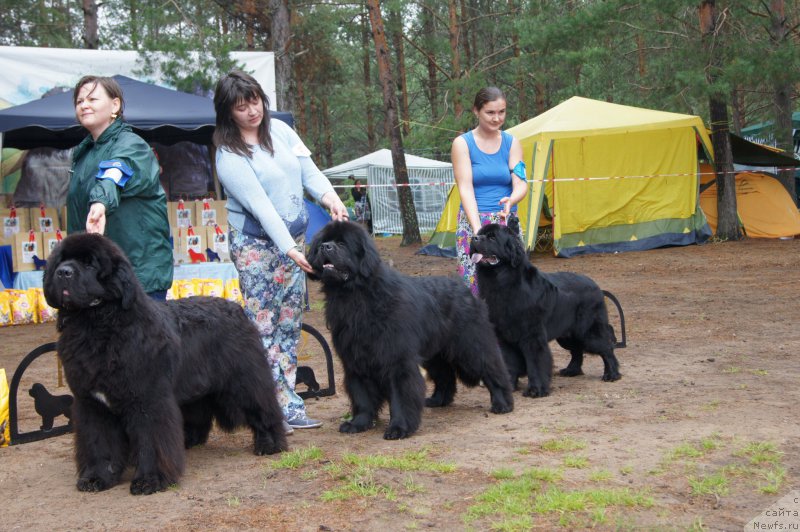 Фотография № 186604