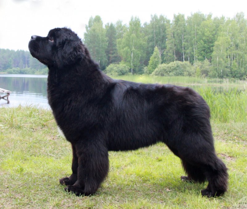 Фотография № 186609