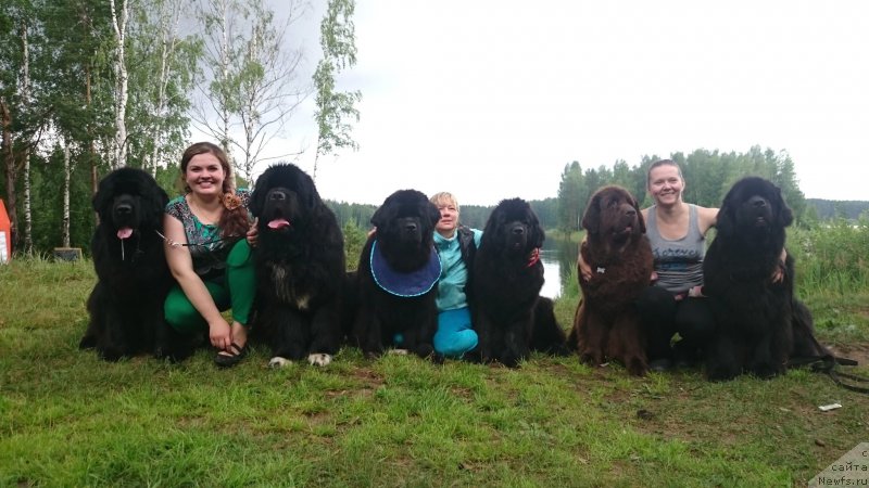 Фотография № 186616