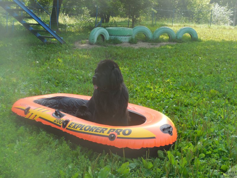 Фотография № 186694