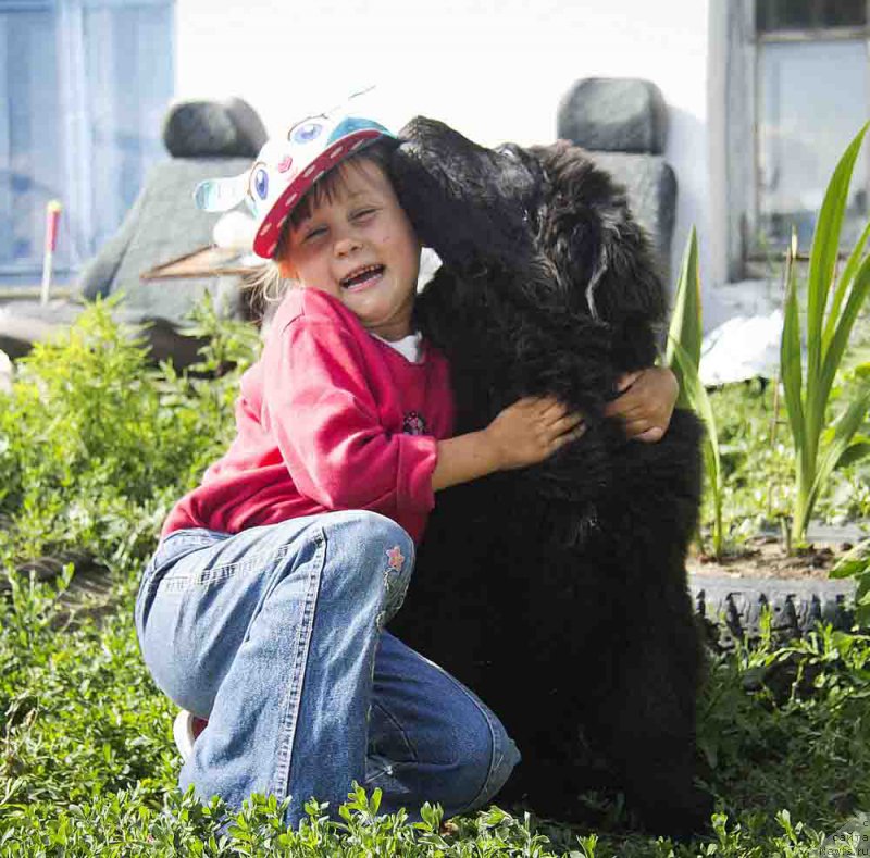 Фотография № 186702