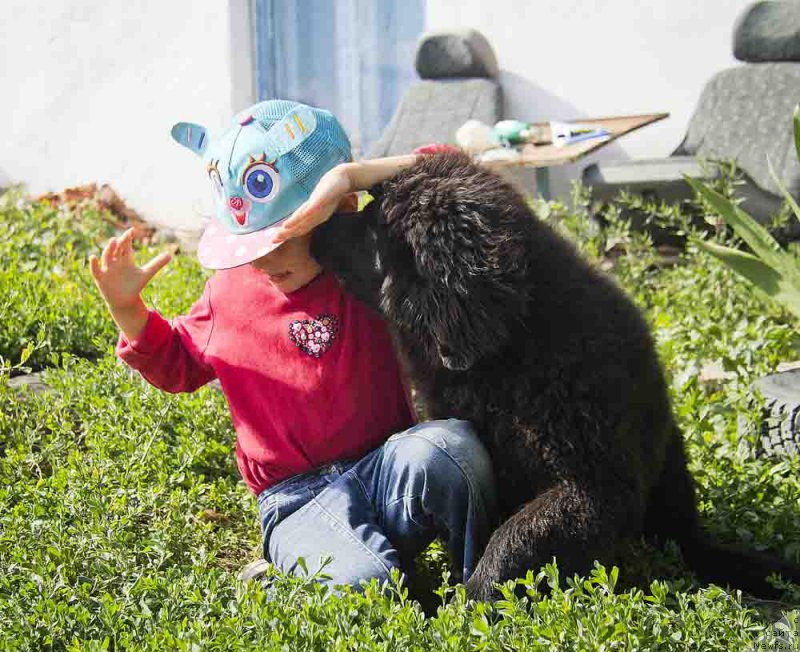 Фотография № 186704