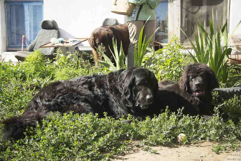 Фотография № 186706