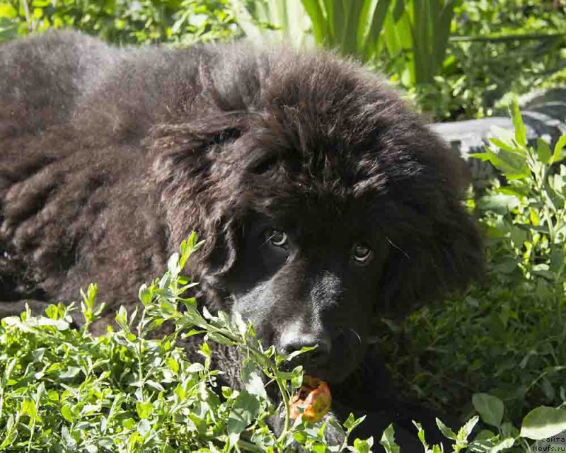 Фотография № 186707